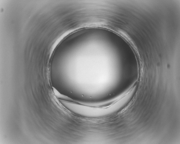 X0000054461340200508191653