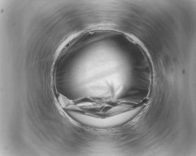 X0000054461341200508191653