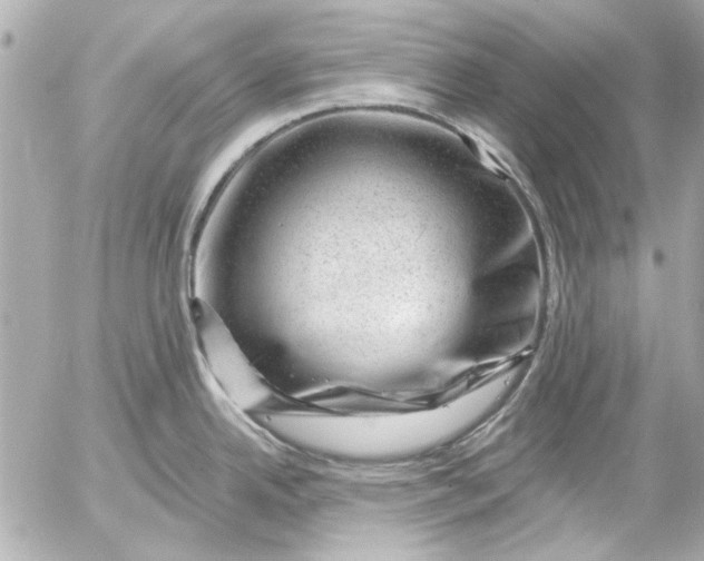 X0000054461342200508191653