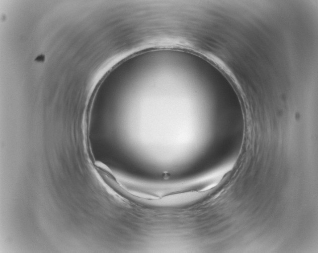 X0000054461343200508191653