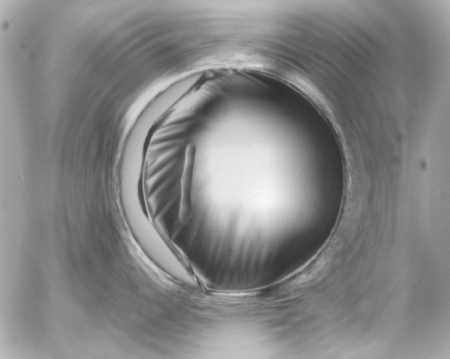 X0000054461344200508191653