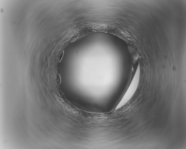 X0000054461345200508191652