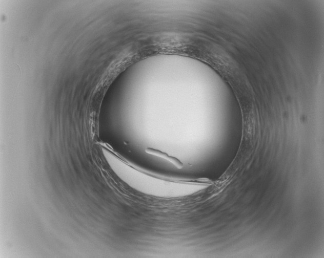 X0000054461346200508191652