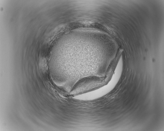 X0000054461347200508191652