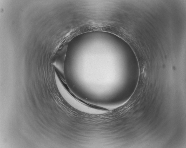 X0000054461348200508191652