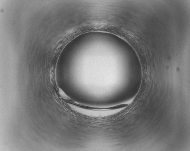 X0000054461349200508191652