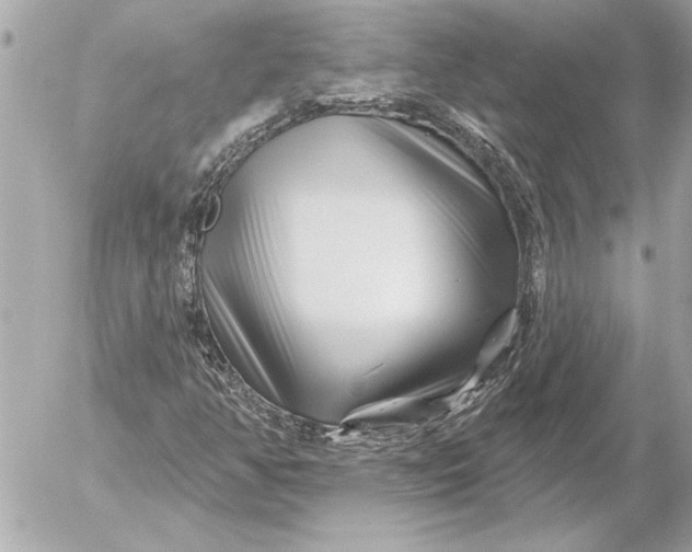 X0000054461350200508191652