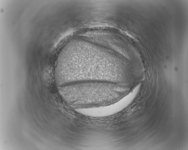 X0000054461351200508191652