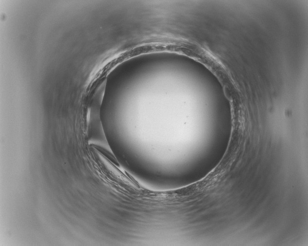 X0000054461352200508191652