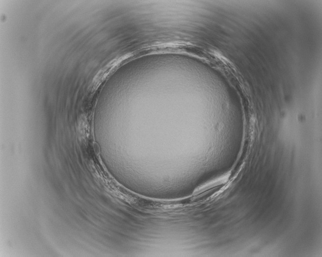 X0000054461353200508191652