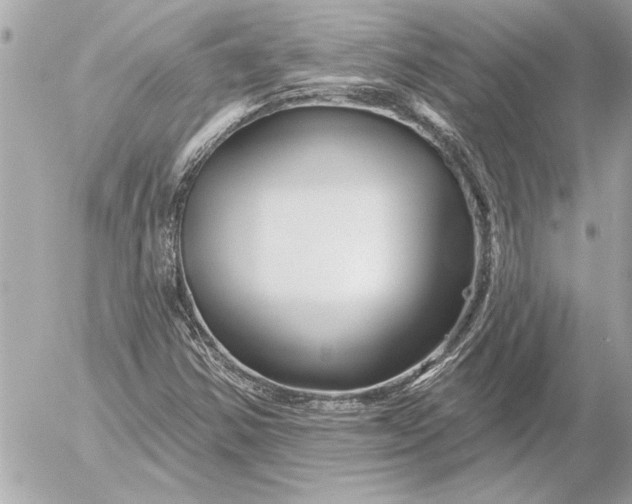 X0000054461354200508191652