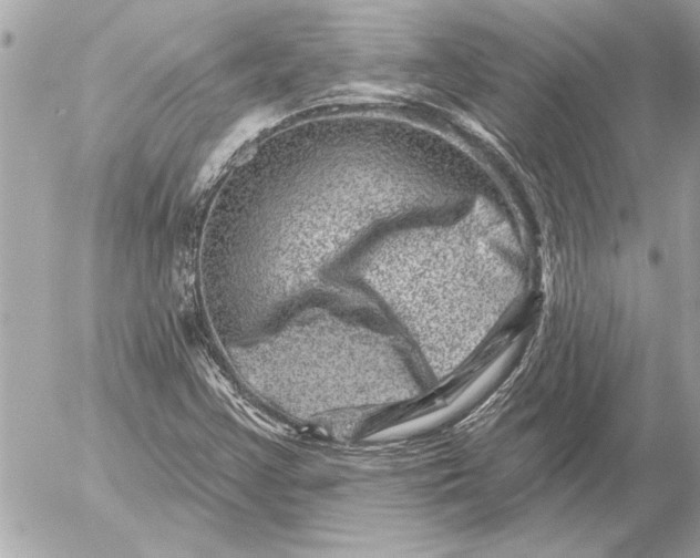 X0000054461355200508191652