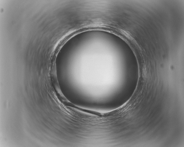 X0000054461356200508191652