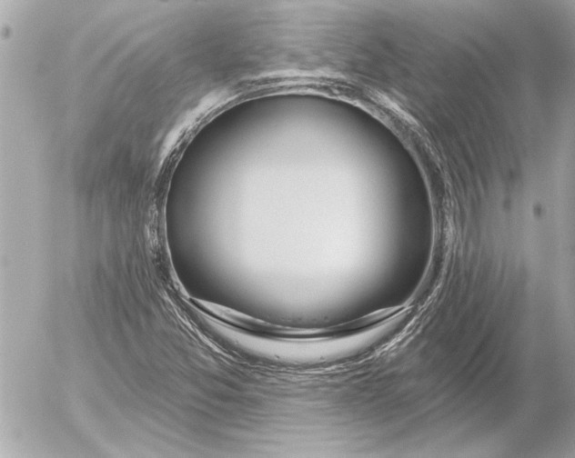 X0000054461357200508191652