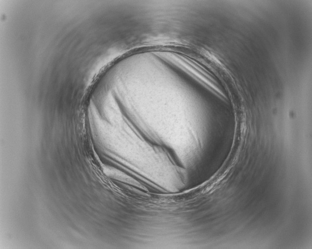 X0000054461358200508191652