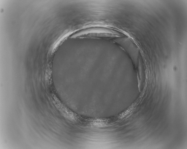 X0000054461359200508191652