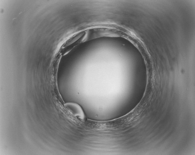 X0000054461360200508191652