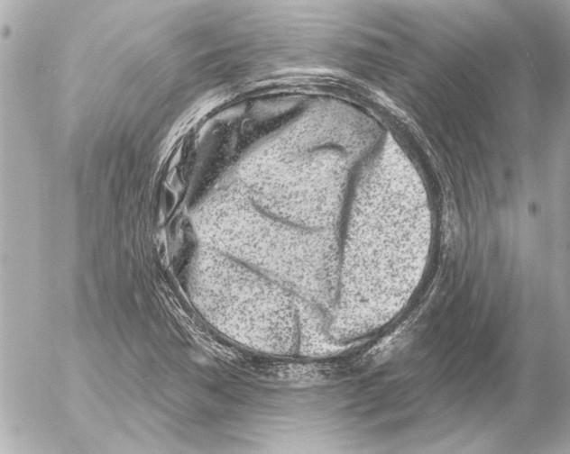 X0000054461362200508191652