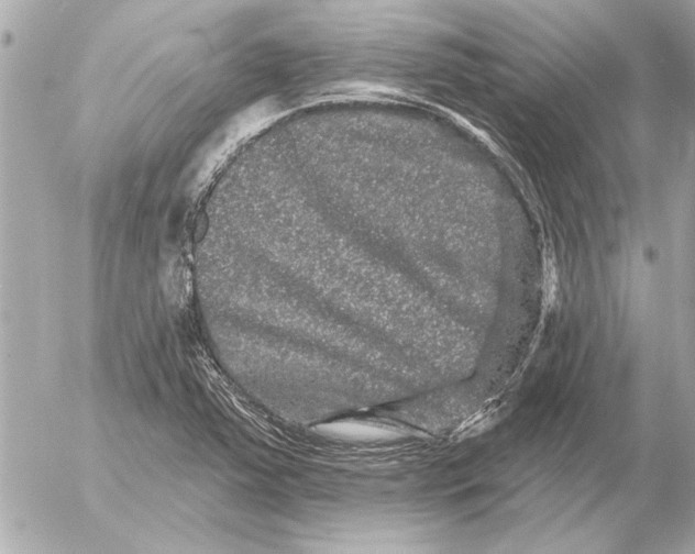 X0000054461363200508191652