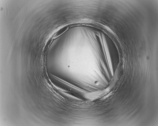 X0000054461364200508191651