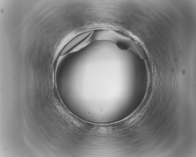 X0000054461365200508191651