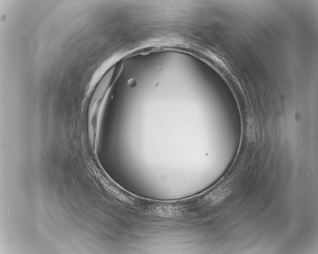 X0000054461366200508191651