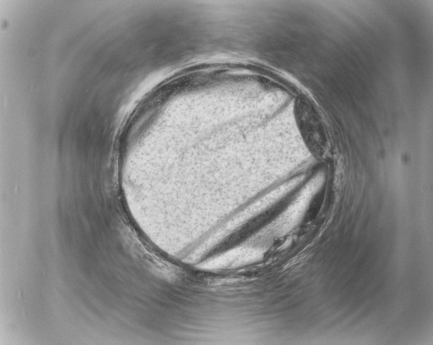 X0000054461367200508191651