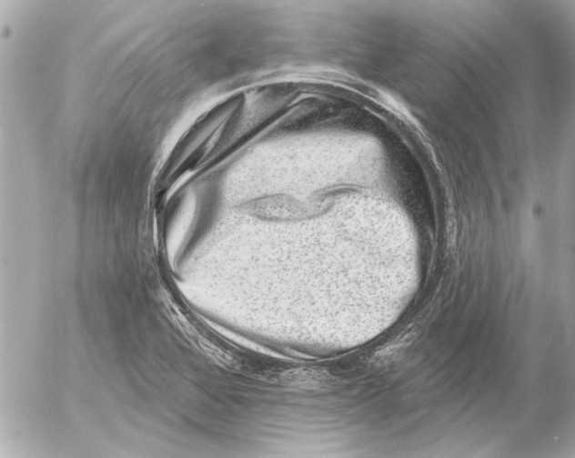 X0000054461368200508191651