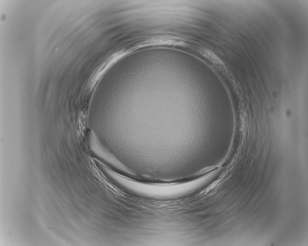 X0000054461369200508191651