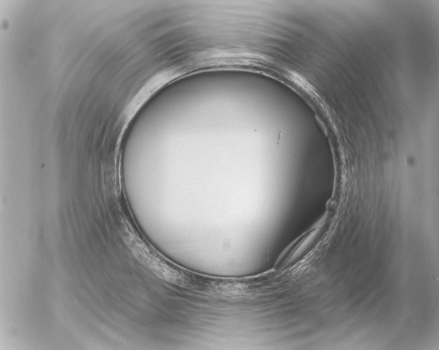 X0000054461370200508191651