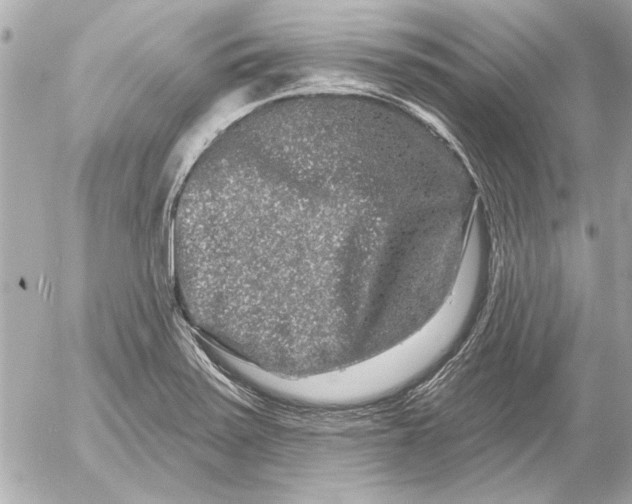 X0000054461371200508191651