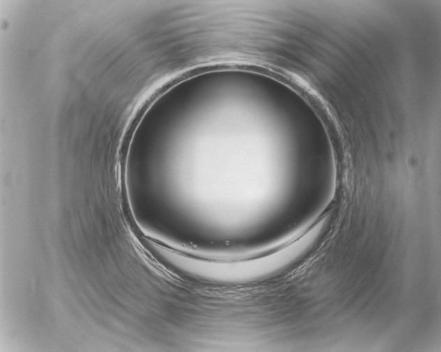 X0000054461372200508191651