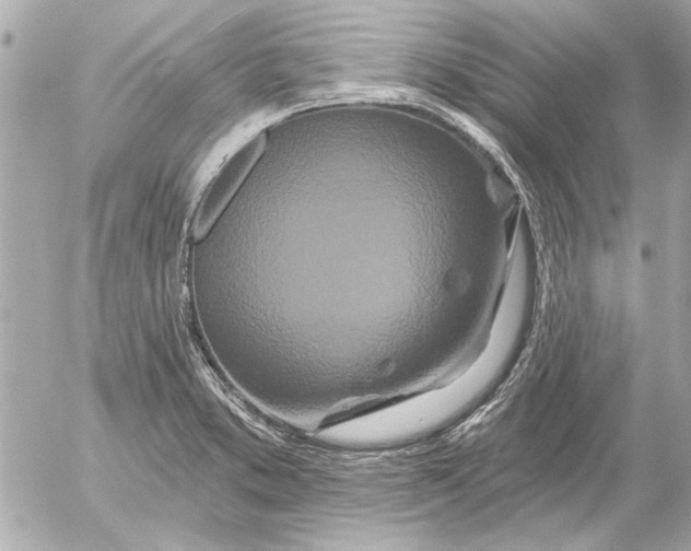 X0000054461373200508191651