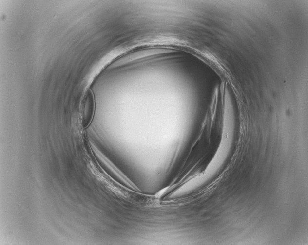 X0000054461374200508191651