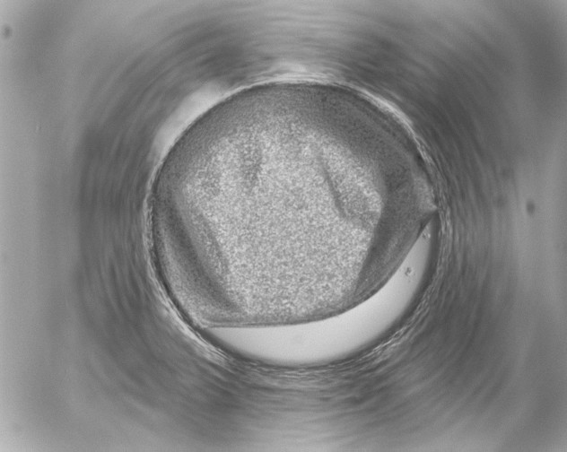 X0000054461375200508191651