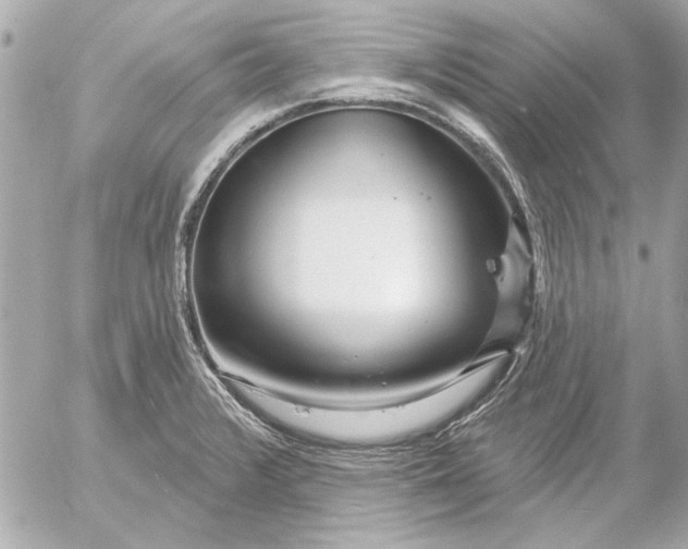 X0000054461376200508191651