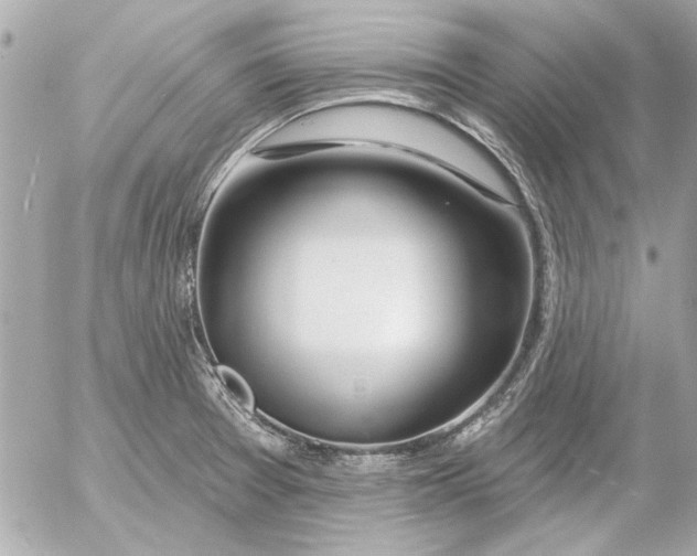 X0000054461377200508191651