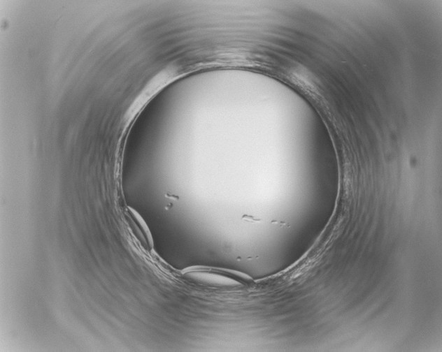 X0000054461378200508191651