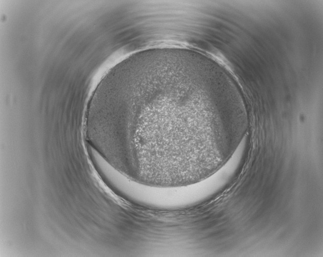 X0000054461379200508191651