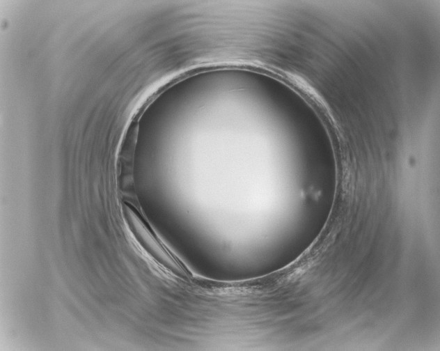 X0000054461380200508191651