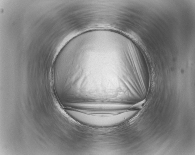 X0000054461382200508191651