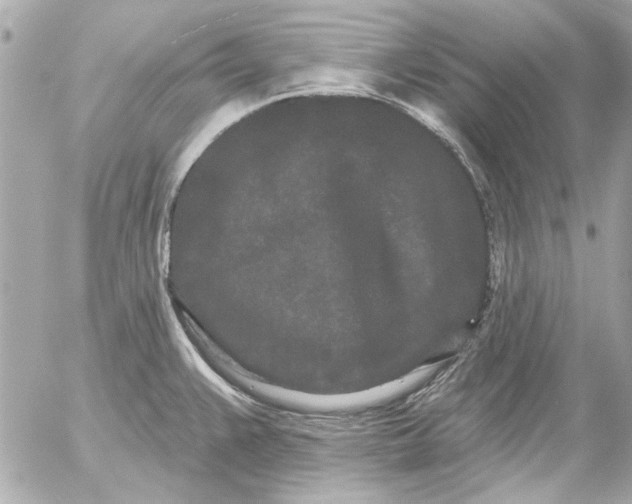 X0000054461383200508191651