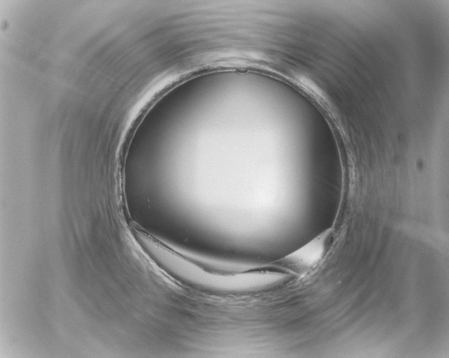 X0000054461384200508191651