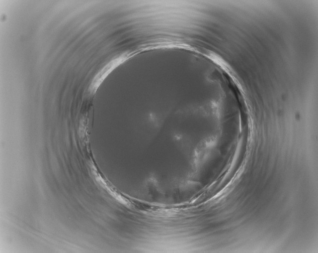 X0000054461385200508191651