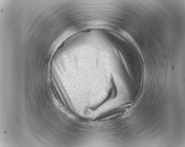 X0000054461386200508191651