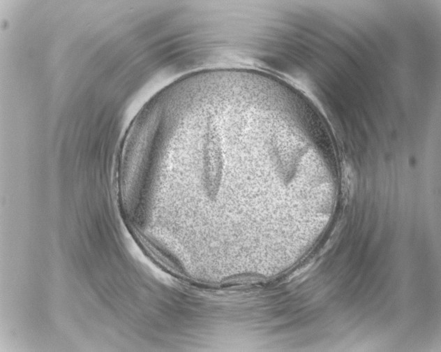 X0000054461387200508191651