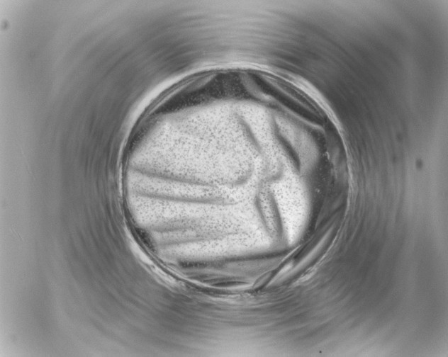 X0000054461388200508191651