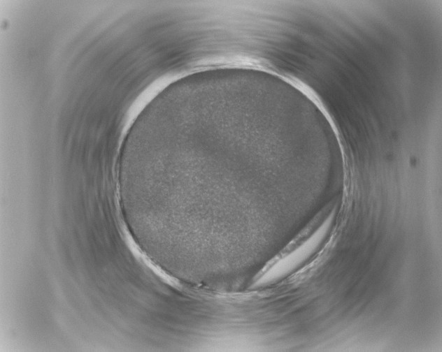 X0000054461389200508191651