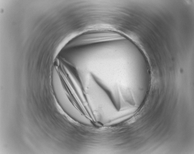 X0000054461390200508191651