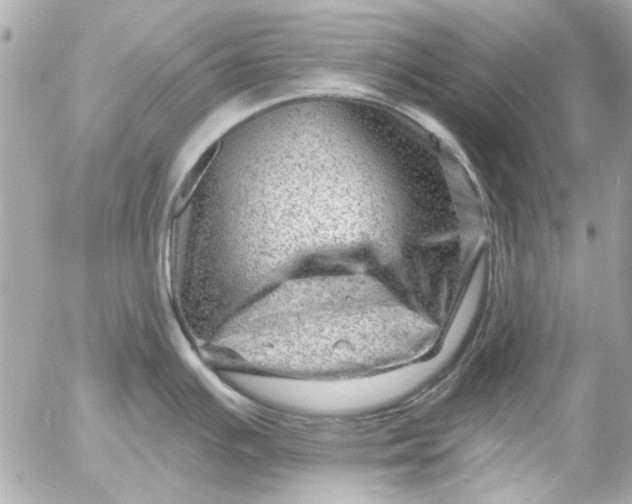 X0000054461391200508191651